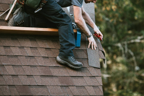 Best Roof Gutter Cleaning  in Fort Valley, AZ